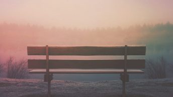 brown wooden bench in field